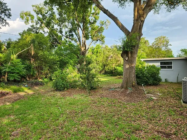 509 Herchel Dr — Photo 4