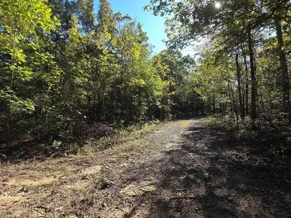 Karen Dr, Dennard, AR 72629