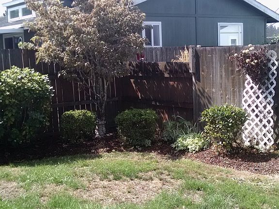 Back yard