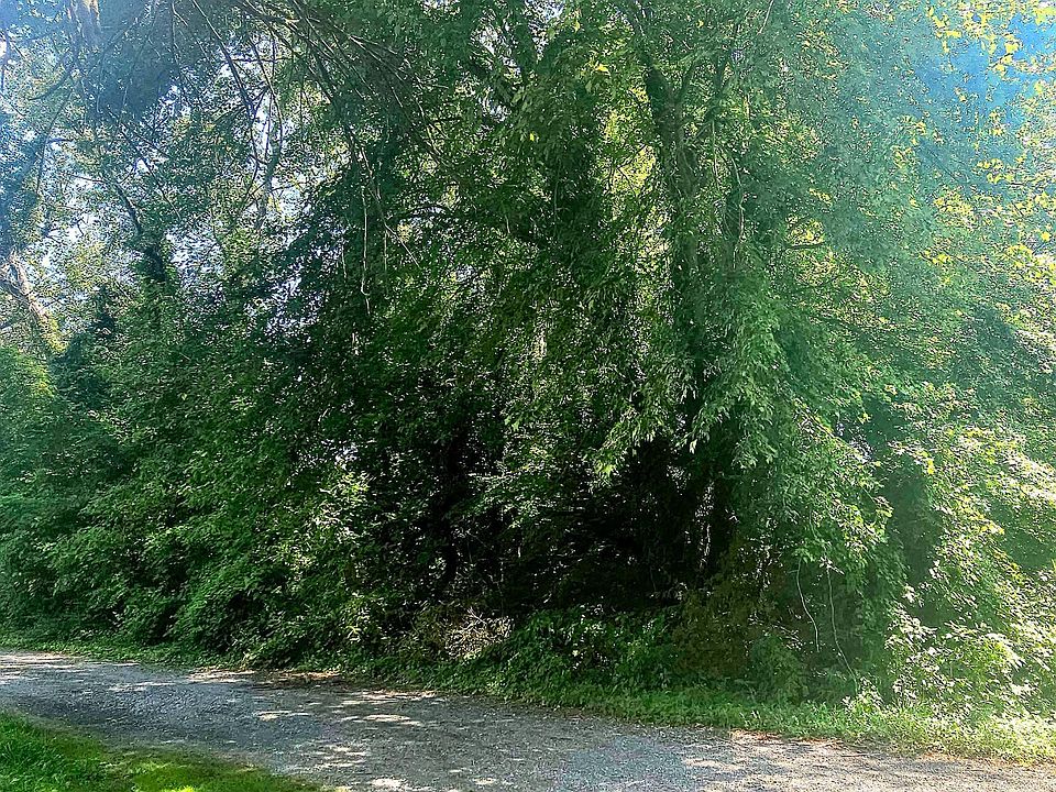 2nd image of 0 Cove Rd