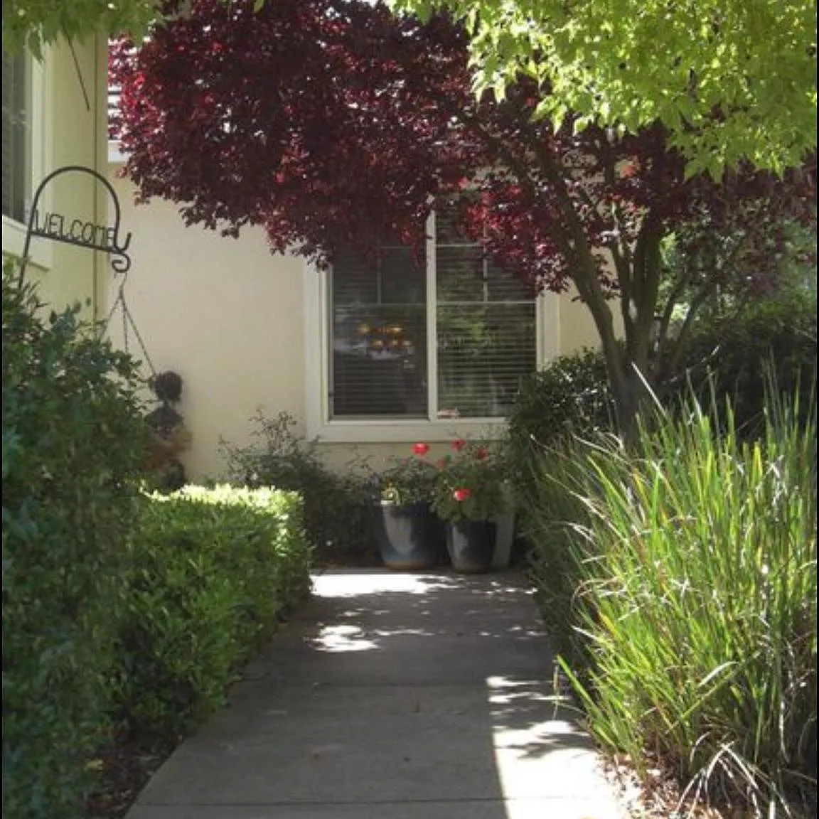9612 Glacier Creek Way — Photo 3