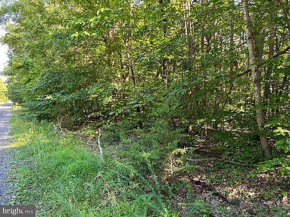 3rd image of Greenwood Dr