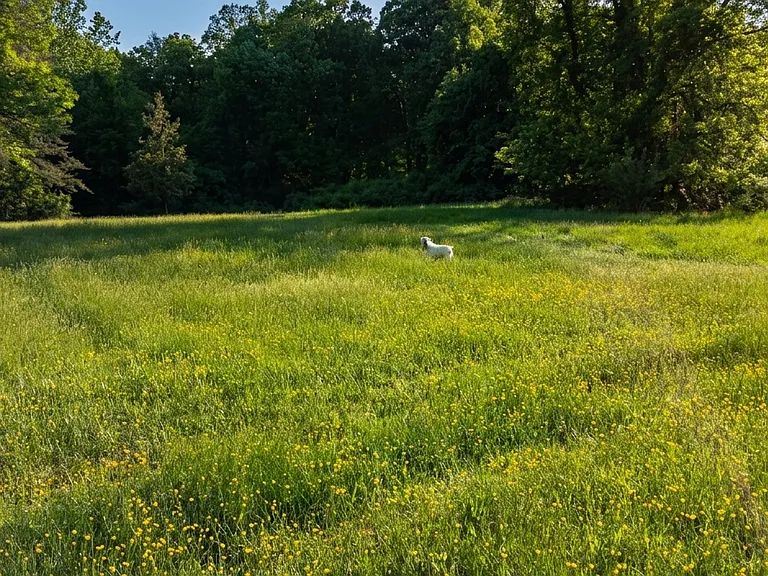 11905 Appling Valley Rd — Photo 17