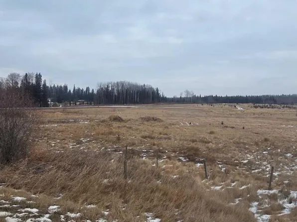 LOT 4 Range Road 175, Yellowhead County, AB T7E 3M4
