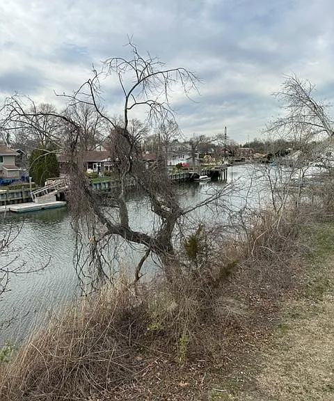 Belcher St — Photo 17