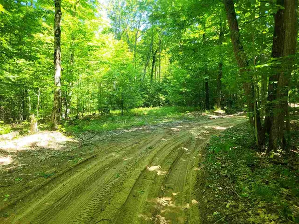 Shumaker Rd, Bellaire, MI 49615