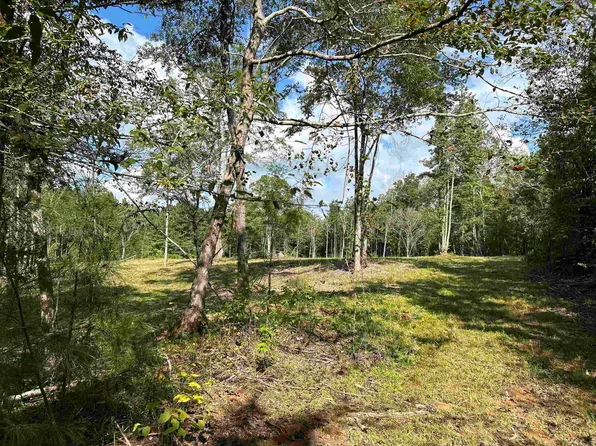 Cedar Grove Rd, Arkadelphia, AR 71923