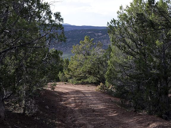 Indian Spring Ranch Road