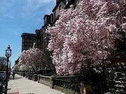 123 Commonwealth Ave #3 — Photo 8