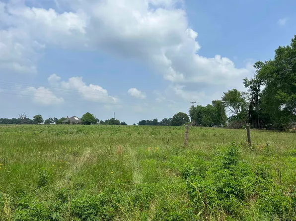 LOT County Road 2169 & Dm #15, Troup, TX 75789