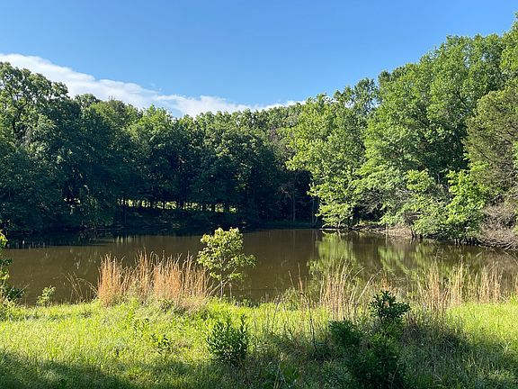 5th image of 796 Blue Branch Rd