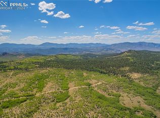 County Rd UNIT 4, Florissant, CO 80816