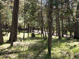 166 Snowberry Ct, Murphys, CA