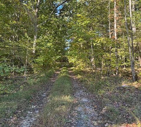 2nd image of LOT 1210 Lee Pl