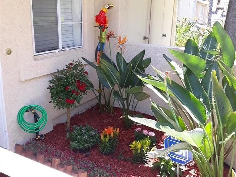 25182 Via Catalina — Photo 6