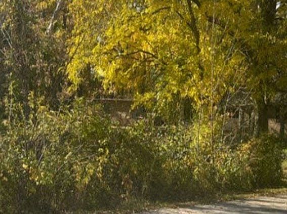 2nd image of 8405 N Dort Hwy