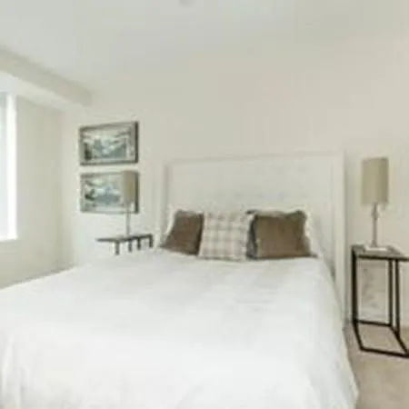 Studio, 428 sqft, $2,850 — Photo 3