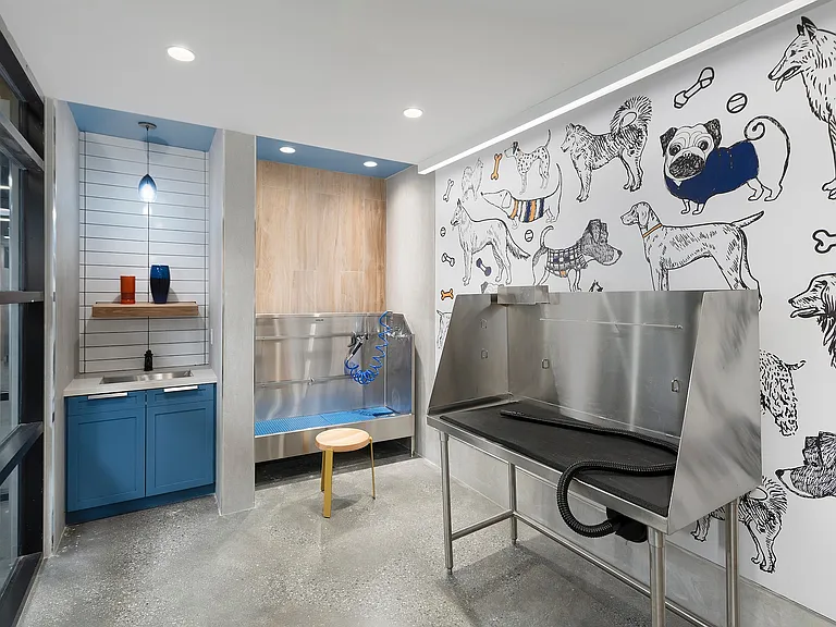 Pet Spa