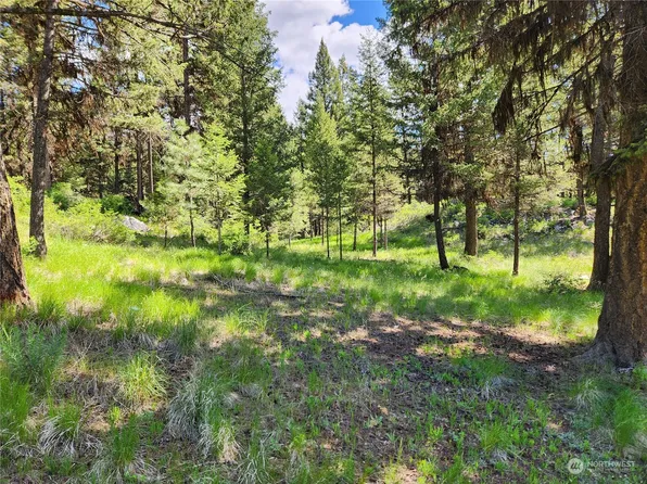 31 Indian Camp Road, Oroville, WA 98844