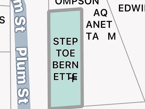 Plum St, Summit, MS 39666