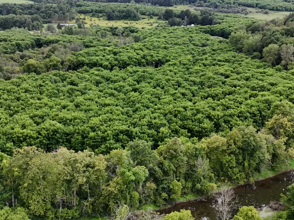 0 County Road 14, Earlville, NY 13332