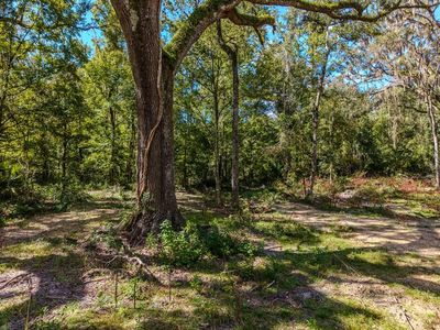 1363 NE 673rd St, Old Town, FL, 32680