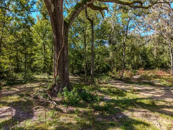 1363 NE 673rd St, Old Town, FL 32680