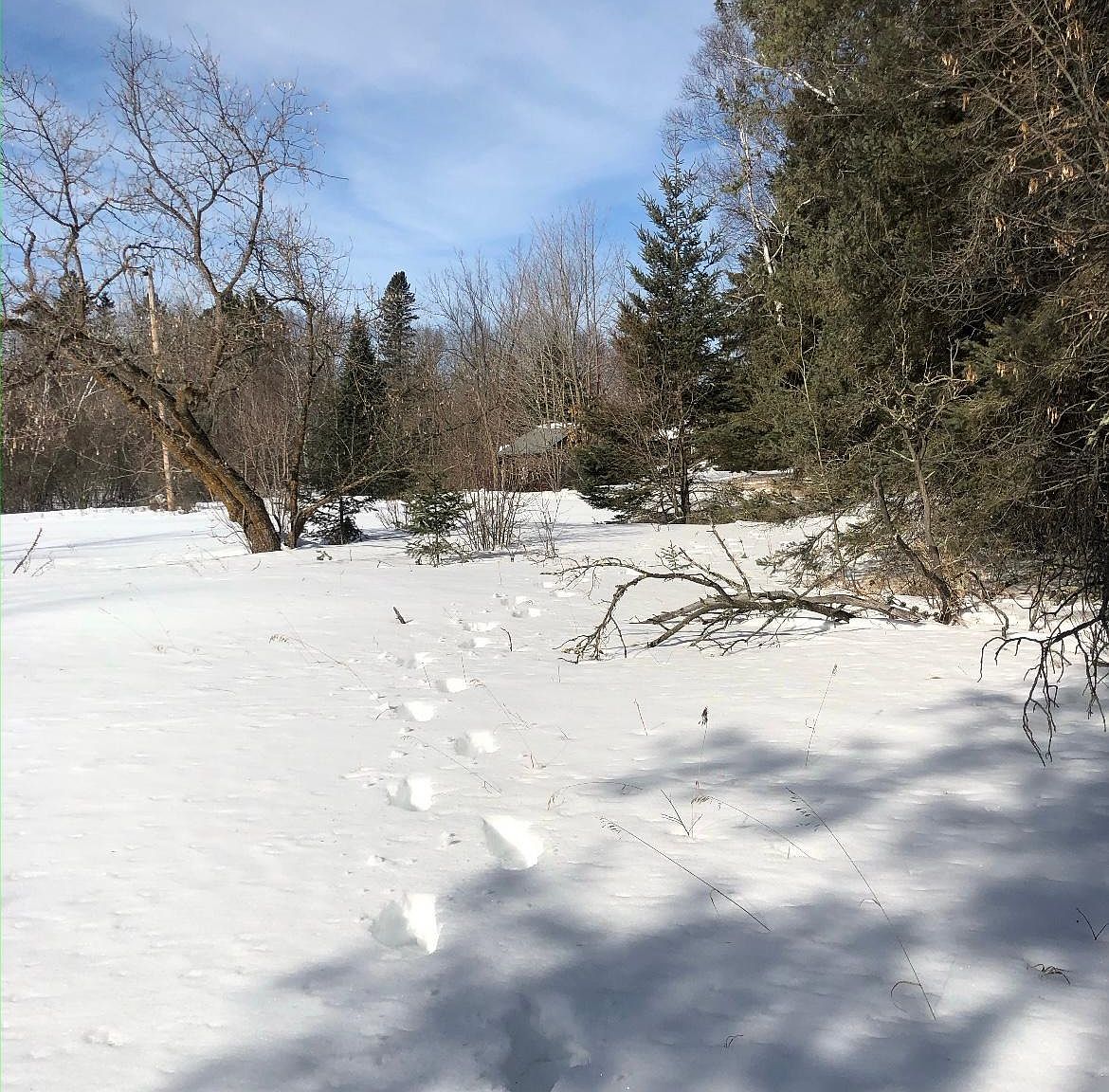 23128 Battle River Rd NE, Kelliher, MN 56650 Zillow