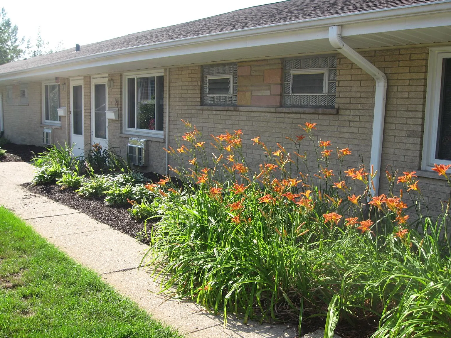 1 bed, 600 sqft, $1,550 — Photo 4