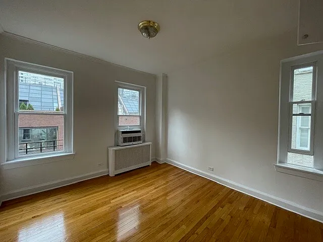 223 E. 66th Street — Photo 4