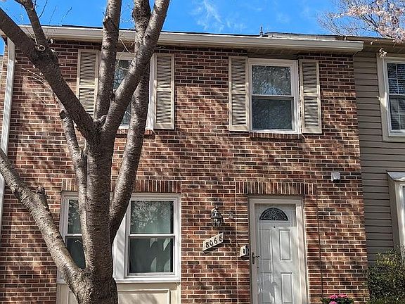 Cherry blossom tree in March!