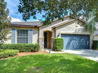 2251 Landside Dr, Valrico, FL 33594