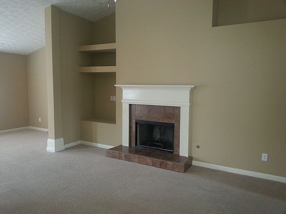 Gas Starter Fireplace