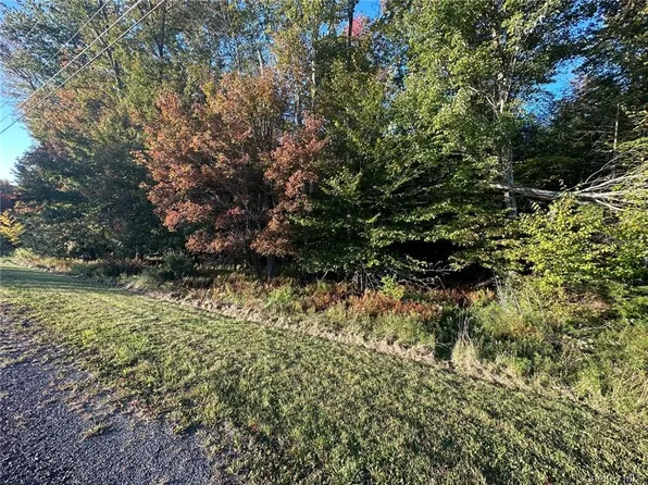 Ulster Heights Road, Fallsburg, NY 12733