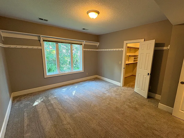 Bedroom 3 in lower level with walk-in closet