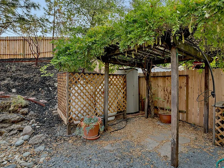 A view of the right side of the backyard.