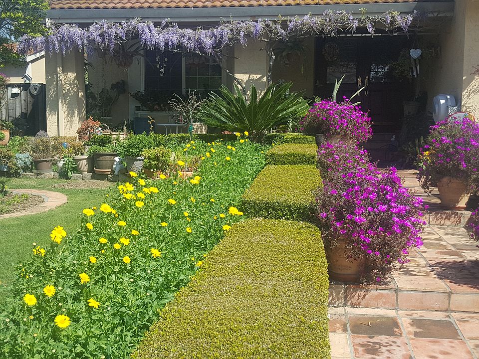 Spring Time