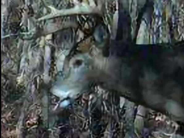 0 Beech Creek Browder Rd, Beech Creek, KY 42321