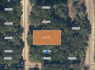 Marion Avenue Lot #17, Interlachen, FL 32148