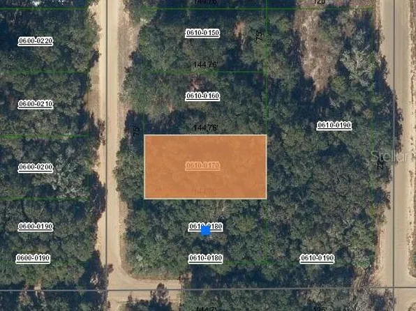 Marion Avenue Lot #17, Interlachen, FL 32148