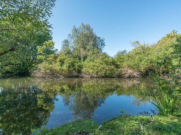 Crystal Creek in backyard