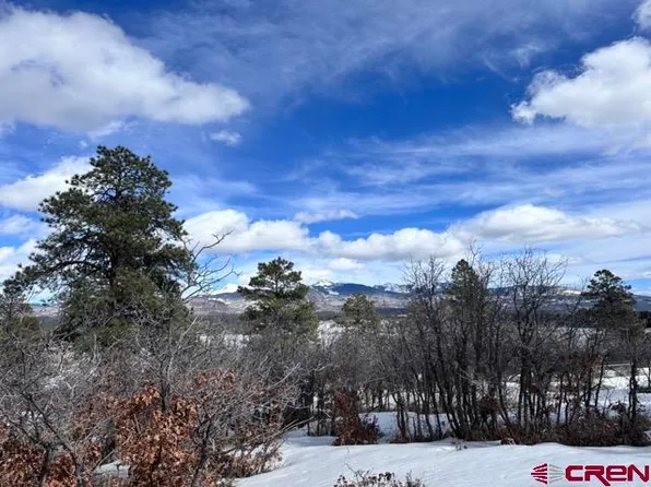 13138 Road 41 9, Mancos, CO 81328