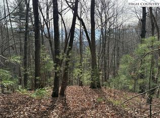 Lot 21 Buck Mountain Road, Purlear, NC 28665