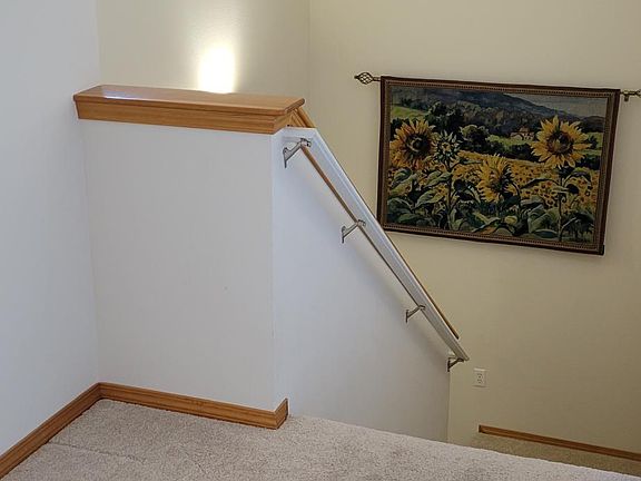 Stairway to downstairs entry. Entry way has room for coats and shoes and also another closet!