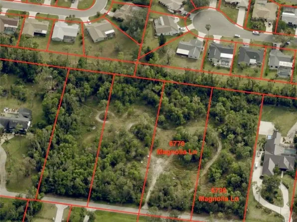 6736 Magnolia LN, FORT MYERS, FL 33966