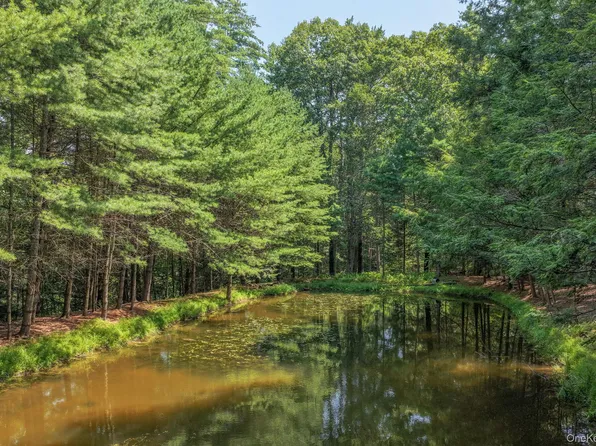 Lot 55.1 Swanerbury Road, Glen Spey, NY 12737