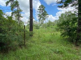 15889 County Road 482, Kirbyville, TX 75956