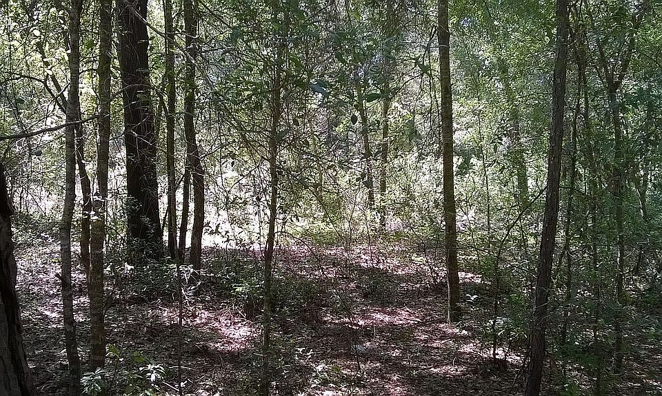 2nd image of Saint George Dr #57