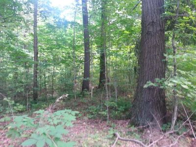 Near Enterprise Lake Rd, Elcho, WI, 54428