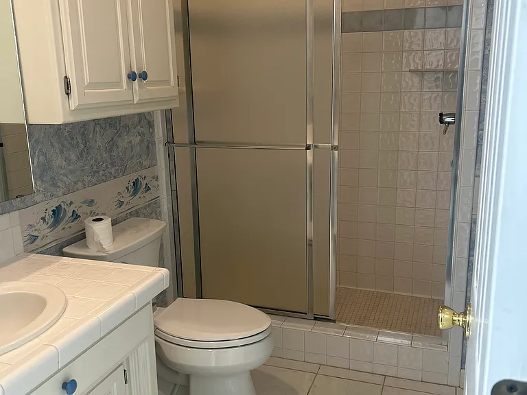 Guest Bath #2, View 1